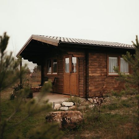 Ambercoast Villa Jurmala Bagian luar foto